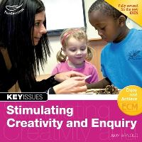 Book Cover for Stimulating Creativity and Enquiry by Amy Arnold