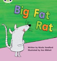 Book Cover for Bug Club Phonics - Phase 2 Unit 5 by Nicola Sandford