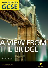Book Cover for A View from the Bridge, Arthur Miller by Shay Daly