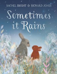 Book Cover for Sometimes It Rains by Rachel Bright