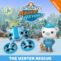 Book Cover for The Winter Rescue by 