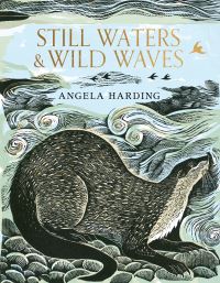 Book Cover for Still Waters & Wild Waves by Angela Harding