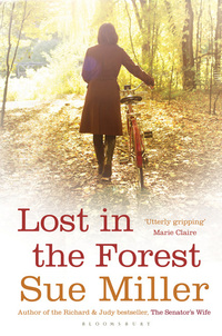 Book Cover for Lost in the Forest by Louis Sachar