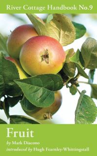Book Cover for The River Cottage Fruit Handbook by Mark Diacono