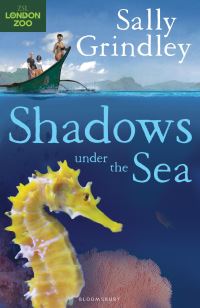 Book Cover for Shadows Under the Sea by Sally Grindley