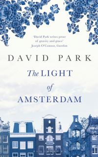 Book Cover for The Light of Amsterdam by David Park