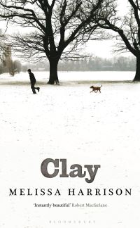 Book Cover for Clay by Melissa Harrison