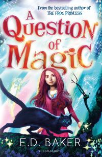 Book Cover for A Question of Magic by E D Baker