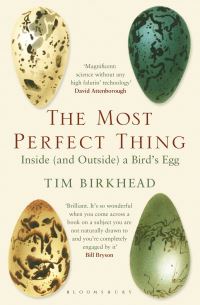 Book Cover for The Most Perfect Thing by Tim Birkhead