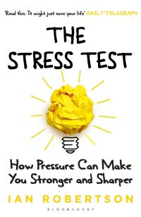 Book Cover for The Stress Test by Ian H Robertson