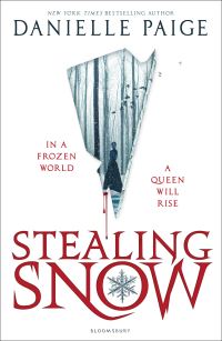 Book Cover for Stealing Snow by D M Paige