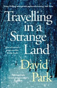 Book Cover for Travelling in a Strange Land by David Park