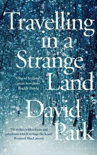 Book Cover for Travelling in a Strange Land by David Park
