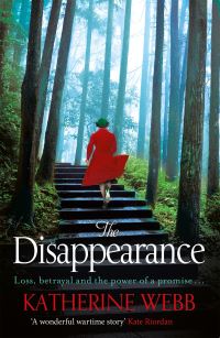 Book Cover for The Disappearance by Katherine Webb