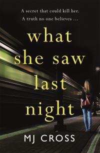 Book Cover for What She Saw Last Night by Mason Cross