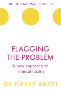 Book Cover for Flagging the Problem by Harry Barry