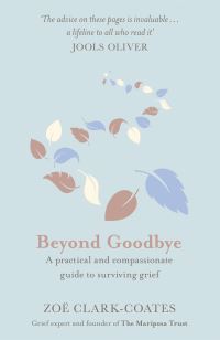 Book Cover for Beyond Goodbye by Zoë ClarkCoates