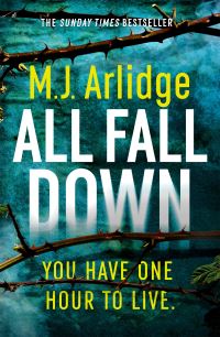 Book Cover for All Fall Down by M J Arlidge
