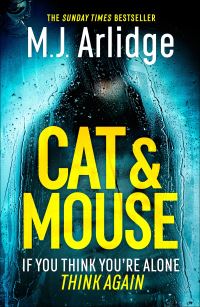 Book Cover for Cat & Mouse by M J Arlidge