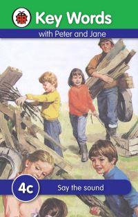 Book Cover for Say the Sound by W Murray