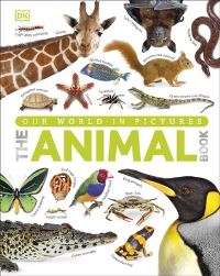 Book Cover for The Animal Book by 