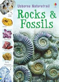Book Cover for Rocks & Fossils by Struan Reid, Brin Edwards, Non Figg, Ian Jackson, Jane Chisholm, Susanna Davidson