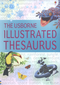 Book Cover for The Usborne Illustrated Thesaurus by Jane Bingham, Fiona Chandler, Jessica Feinstein, Rachel Wardley, John McIlwain, David Cuzik