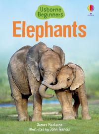 Book Cover for Elephants by James Maclaine, John Francis, Tim Haggerty