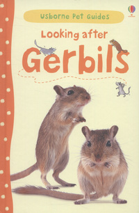 Book Cover for Looking After Gerbils by Laura Howell