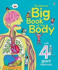 Book Cover for The Usborne Big Book of the Body by Minna Lacey