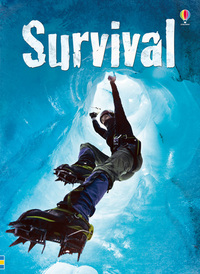 Book Cover for Survival by Henry Brook