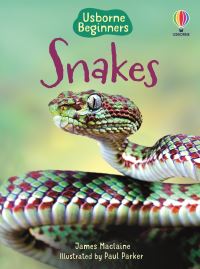 Book Cover for Snakes by James Maclaine