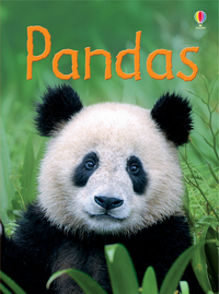 Book Cover for Pandas by James Maclaine