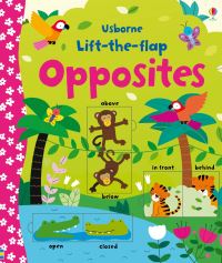 Book Cover for Opposites by Felicity Brooks