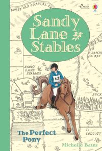 Book Cover for The Perfect Pony by Michelle Bates