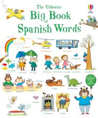 Book Cover for The Usborne Big Book of Spanish Words by Mairi Mackinnon
