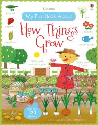 Book Cover for My First Book About How Things Grow by Felicity Brooks