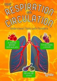 Book Cover for Your Respiration and Circulation by Melanie Waldron