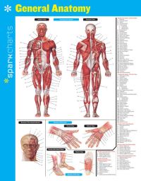 Book Cover for General Anatomy SparkCharts by SparkNotes