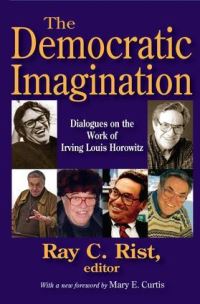 Book Cover for The Democratic Imagination by Ray C Rist