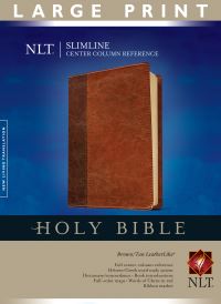 Book Cover for Slimline Center Column Reference Bible NLT, Large Print, TuTone (Red Letter, LeatherLike, Brown/Tan) by Tyndale