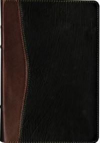 Book Cover for Santa Biblia Edicion De Referencia Ultrafina-Ntv-Letra Grande by Tyndale
