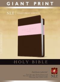 Book Cover for Holy Bible, Giant Print NLT, TuTone (LeatherLike, Pink/Brown, Red Letter) by Tyndale