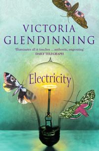 Book Cover for Electricity by Victoria Glendinning