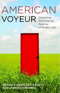 Book Cover for American Voyeur by Benoit DenizetLewis