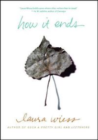 Book Cover for How It Ends by Laura Wiess