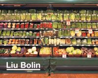 Book Cover for Liu Bolin by Silvia Mattei