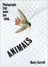 Book Cover for Animals by Henry Carroll
