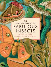 Book Cover for The Wonder Cabinet of Fabulous Insects by Denis Richard, PierreOlivier Maquart