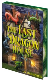 Book Cover for The Last Dragon House by Liv Mae Morris